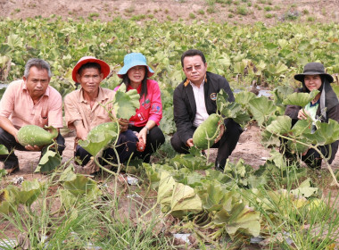 วันที่ 19 มีนาคม 2567 ... Image 2